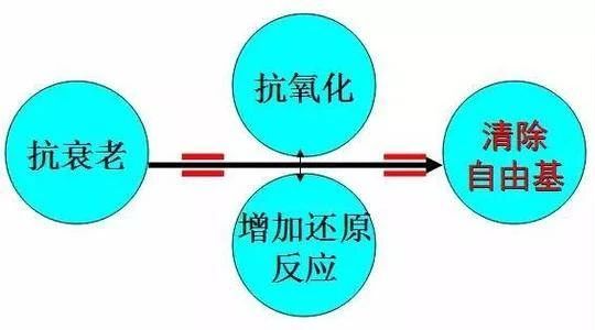 养卵第一步，减少过度氧化带来的伤害！