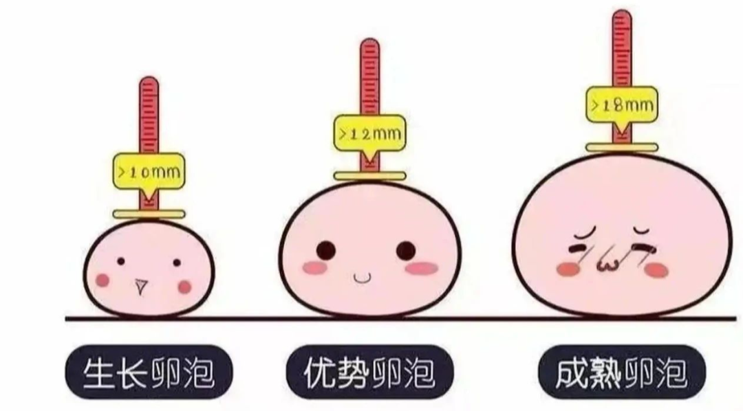 看不懂性激素六项和AMH检测报告？这篇文章教你！