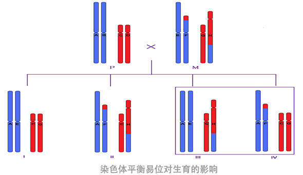 过筛的囊胚，为什么还会胎停？