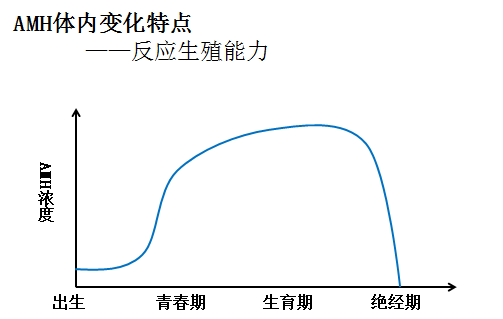 看不懂性激素六项和AMH检测报告？这篇文章教你！