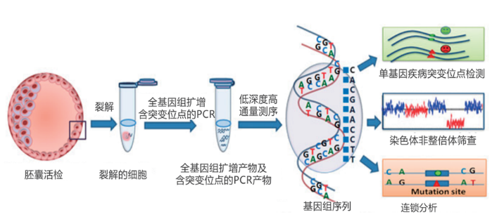 科学备孕第一步，90%的人都不知道！