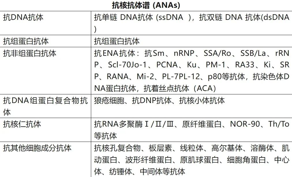 优质胚胎不着床？也许你最该查的是它！