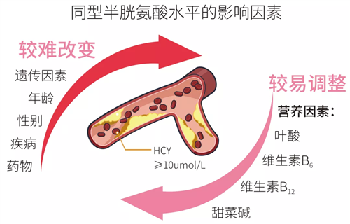 要警惕这项指标，它的危害性比高龄更严重！