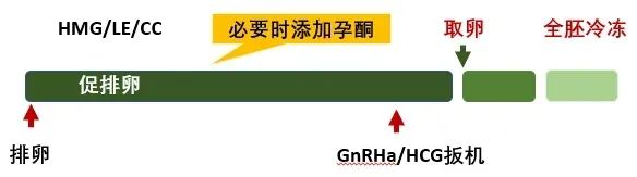 高龄做试管，选对促排方案是第一步！