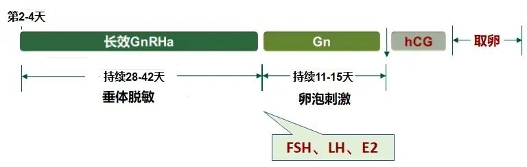 高龄做试管，选对促排方案是第一步！