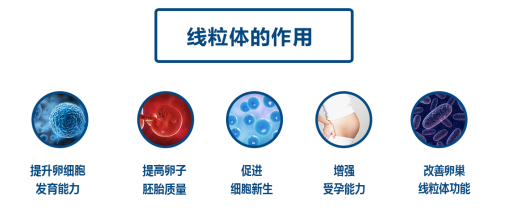 伤害线粒体的4种食物，备孕姐妹要避开！