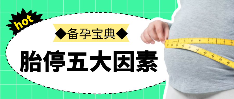 连续促排会不会影响卵子质量？真相在这里！