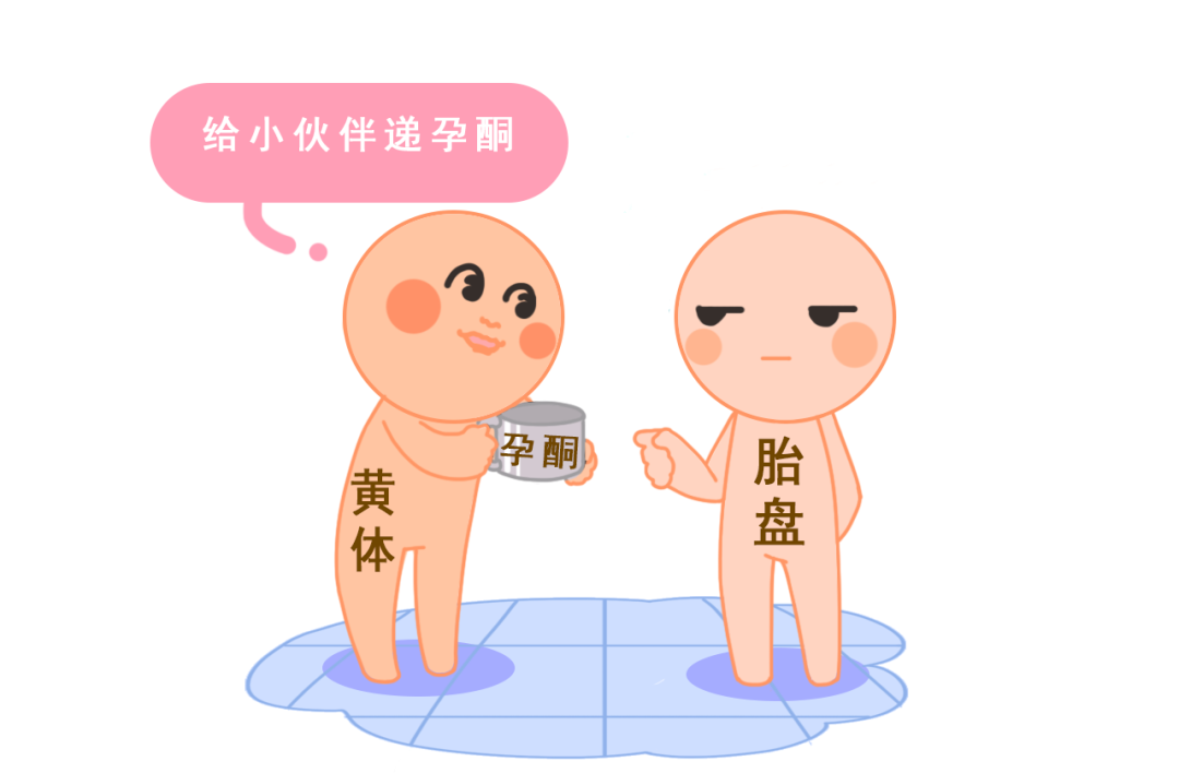试管助孕成功后，孕酮高低真的这么重要？