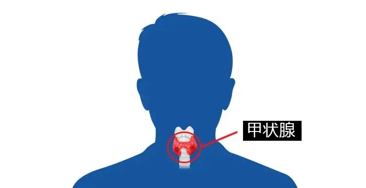 反复流产，久备不孕？病因竟在脖子上！
