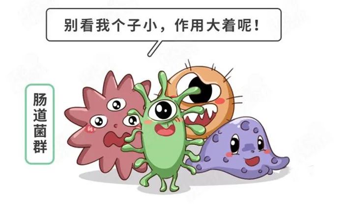 减肥还助孕，这个“养卵神器”非它莫属！