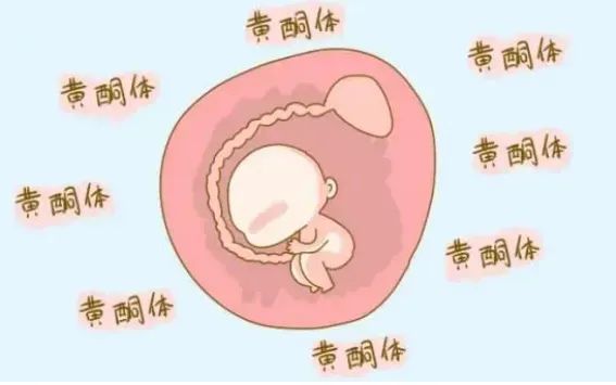 试管助孕成功后，孕酮高低真的这么重要？