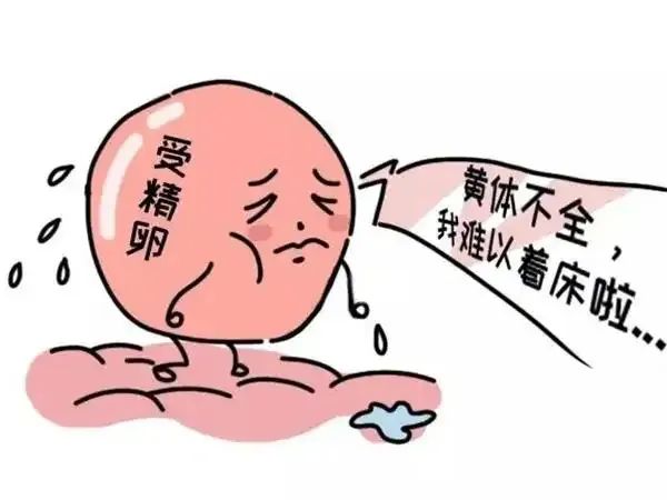 性激素的最佳检查时间，你了解过吗？