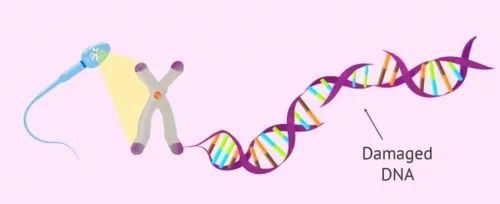 怀得上留不住？这6大“隐形杀手”要注意！