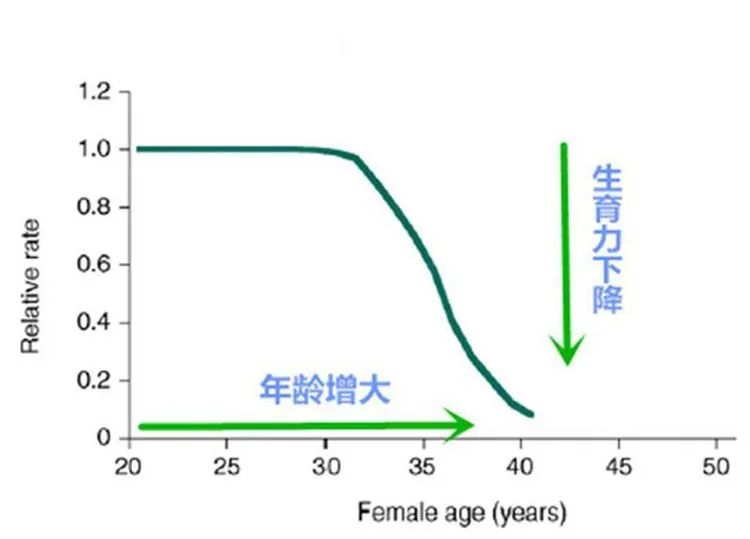 怀得上留不住？这6大“隐形杀手”要注意！