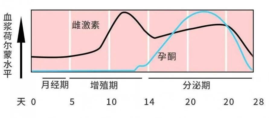 内膜薄的实用治疗方法，总有一种适合你！
