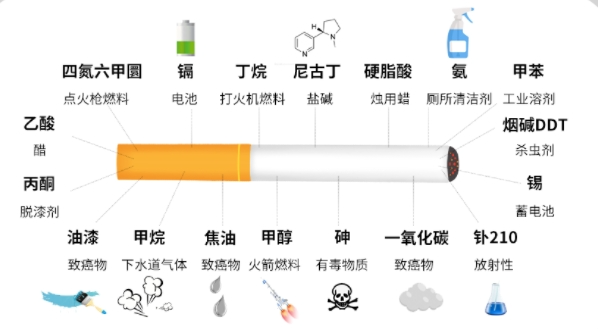 吸烟不仅影响试管成功率，还会.....