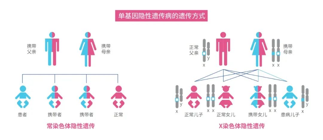 年！16次！3200针！白冰冰自曝试管求子血泪史"