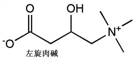 减肥还助孕，这个“养卵神器”非它莫属！