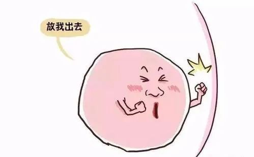 久备不孕？你的精子或卵子可能正在“摆烂”！