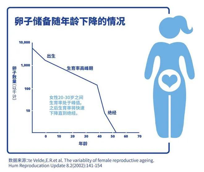 久备不孕？你的精子或卵子可能正在“摆烂”！