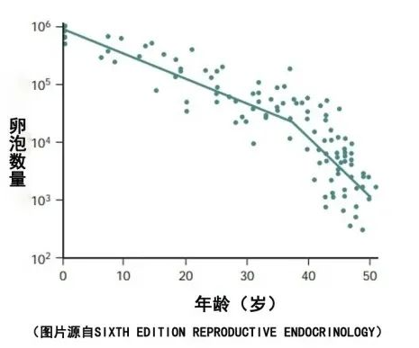 0+备孕读懂这两个真相，也能快速抱娃！"