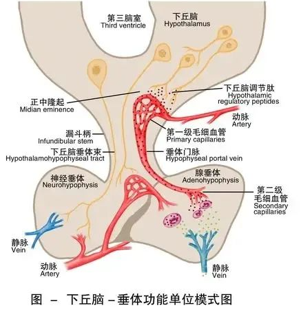 导致胎停的6个“隐形杀手”，备孕姐妹要避坑！