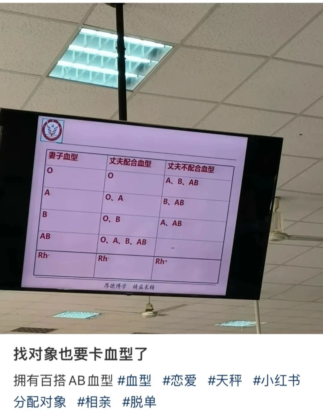 择偶标准又+1！找对象还得看血型？