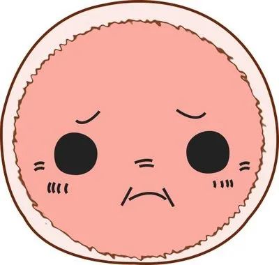 人会变老，卵母细胞也会变老吗?