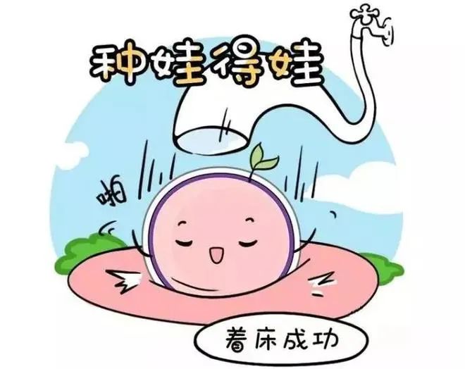 解决这4个宫腔问题，着床基本稳了！
