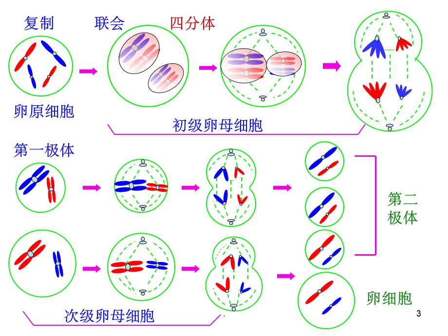 卵子成熟障碍，还有机会怀孕吗？
