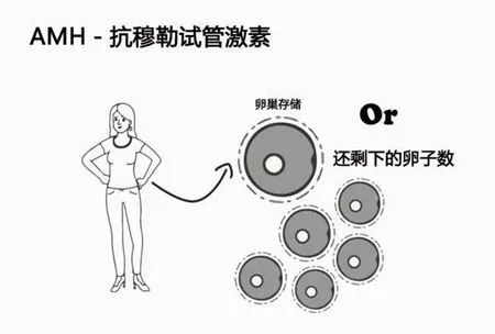 想让卵巢变年轻，做好这6点很重要！
