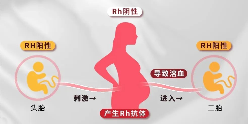 择偶标准又+1！找对象还得看血型？