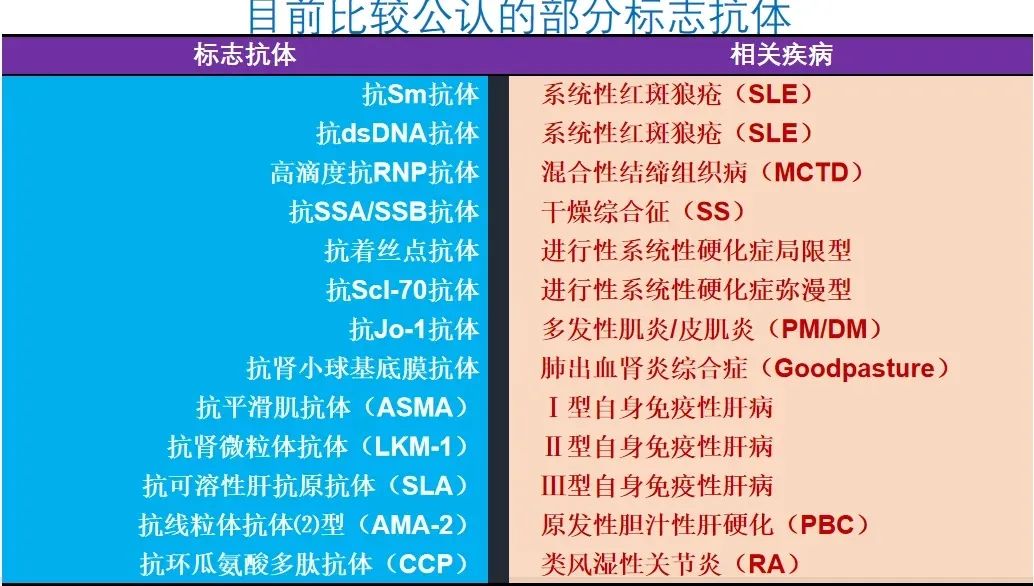 免疫系统也会“认错胚胎”？复发性流产的隐藏真相！