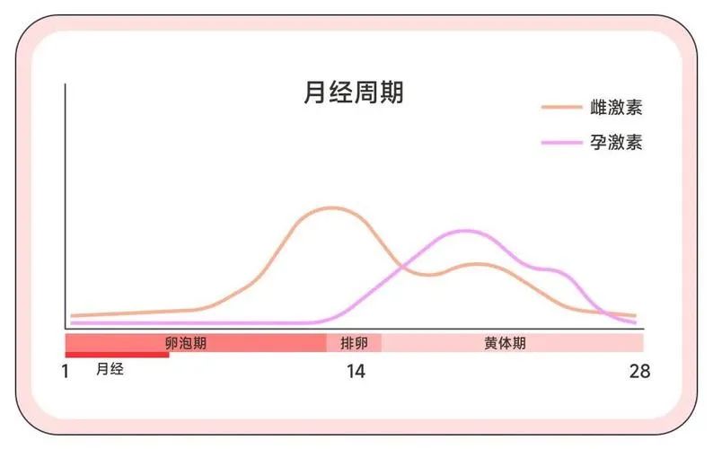 解决这4个宫腔问题，着床基本稳了！