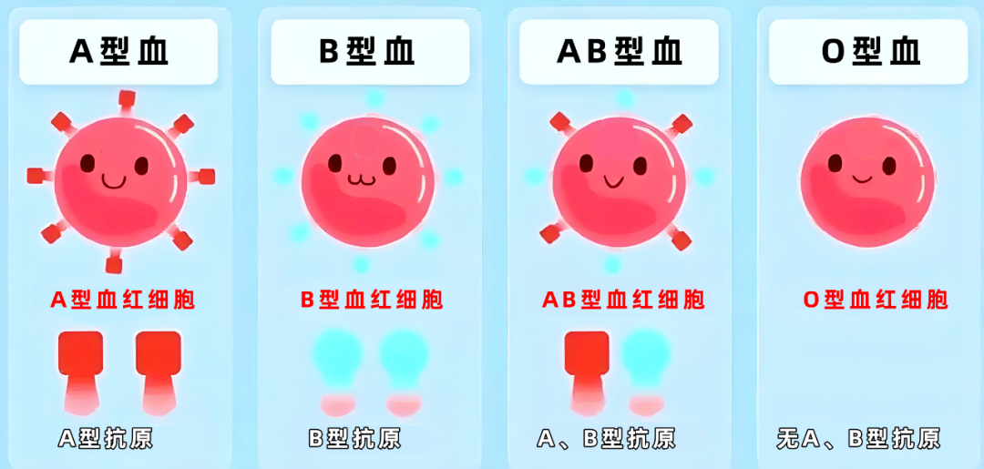 择偶标准又+1！找对象还得看血型？
