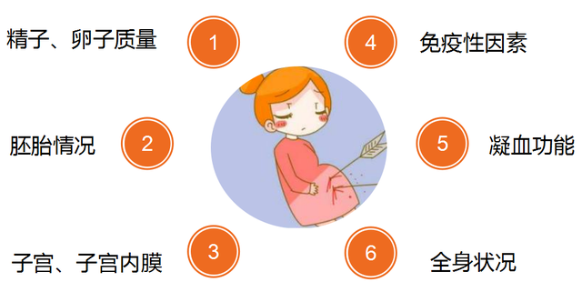 免疫系统也会“认错胚胎”？复发性流产的隐藏真相！