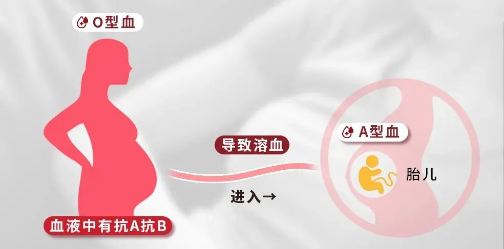 择偶标准又+1！找对象还得看血型？