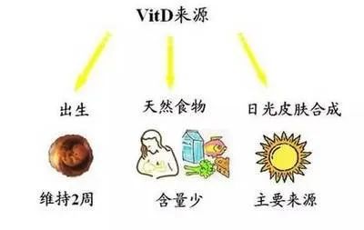 备孕前养好子宫，流产风险降七成！