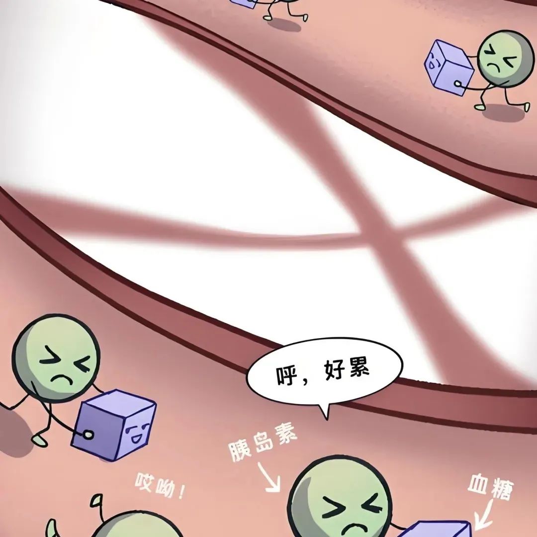 胰岛素抵抗为什么会影响生育？