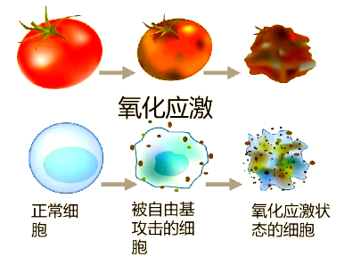 这个生育“杀手”，你每天都在接触！