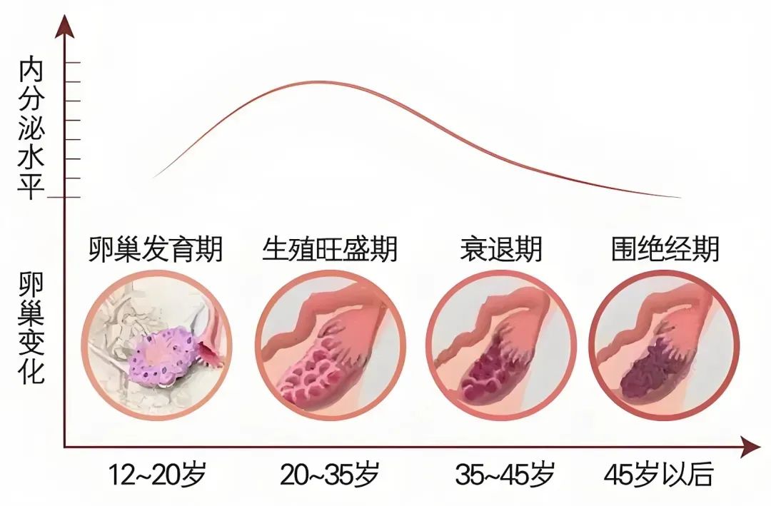 卵巢囊肿这个“沉默杀手”，居然成了致命病因！