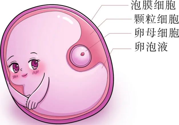 这个生育“杀手”，你每天都在接触！