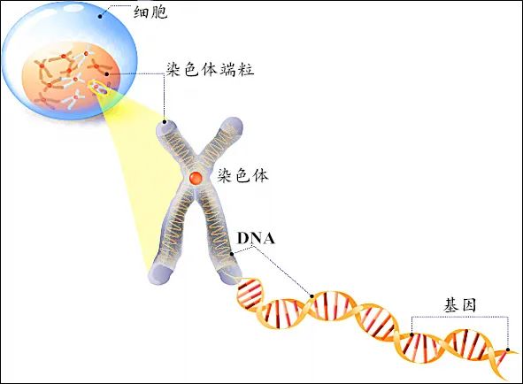 怀孕路上的“拦路虎”，你听过几个？