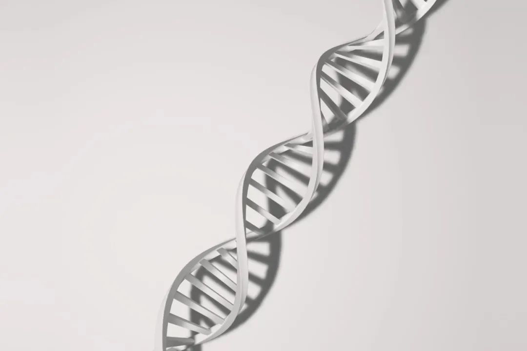 卵子“英雄”记：我是如何修复染色体嵌合胚胎的?