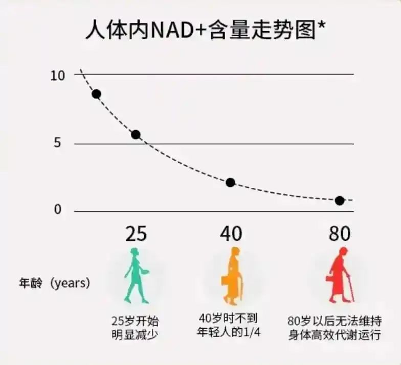 建议收藏！卵子「未老先衰」的2大原因