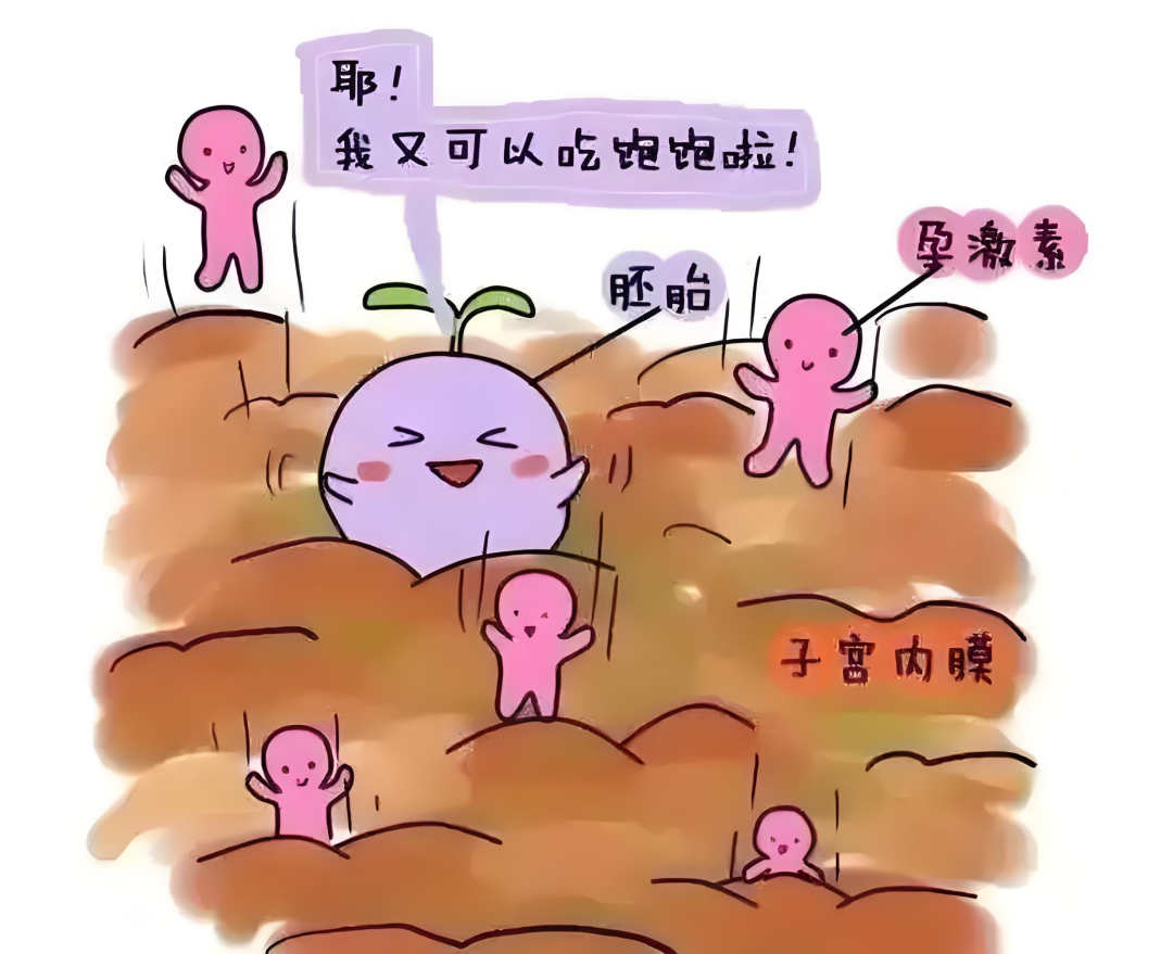 影响胚胎着床的“黄金指标”，备孕姐妹别忽视！