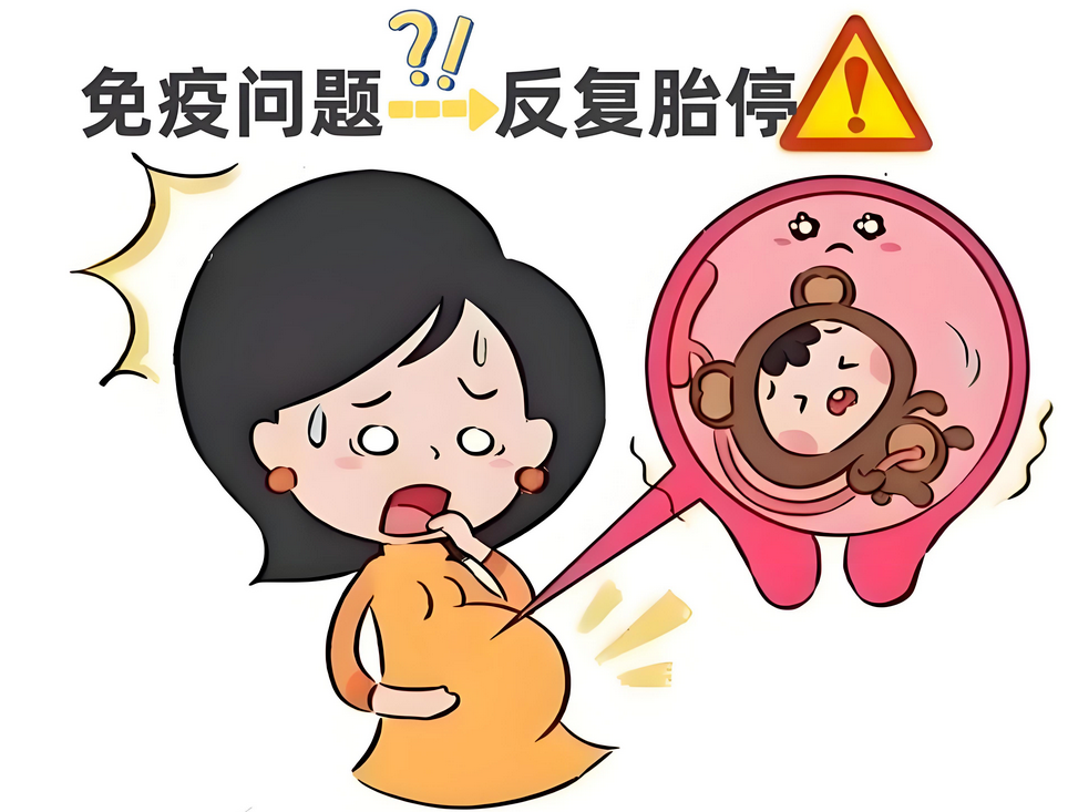 警惕！这个“幕后元凶”在偷走你的好孕