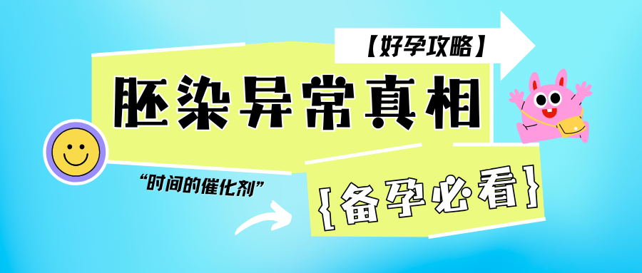 卵子“英雄”记：我是如何修复染色体嵌合胚胎的?