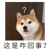 卵泡多却难怀孕？多囊卵巢患者要知道的真相！
