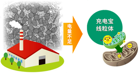 卵子“英雄”记：我是如何修复染色体嵌合胚胎的?